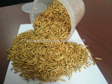Professional made eco-friendly Bird/Fish Food FD Mealworm