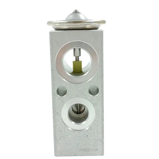 Customized Automotive AC Air Conditioning Evaporator and Expansion Valve Spare Parts