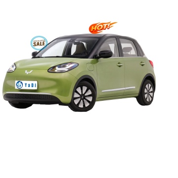 Bingo Wuling de Chine: la nouvelle voiture électrique abordable