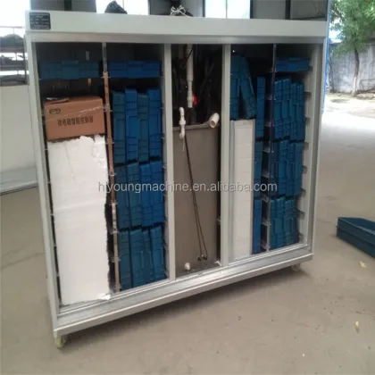 Mung Bean Sprout Machine: Commercial Sprout Equipment for Sprouting Seeds