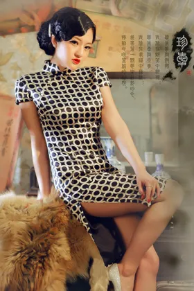 Brown Circle Cheongsam