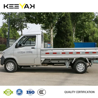 Wuling Cargo Truck 4x2: Best Petrol Engine Truck for Express Transportation