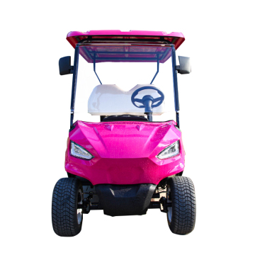 High-Quality Customizable 48V 5KW 2-Seat Mini Golf Carts with Green Pink Options from Factory Outlets - CE Certified