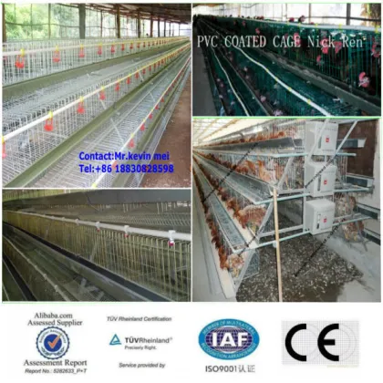 Chicken Use and A type Type chicken cage for sale