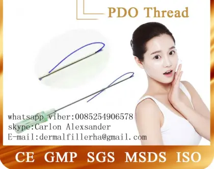 High quality Absorbable suture PDS PDO medical thread with needle