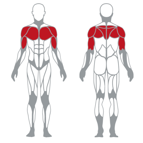 Plate Loaded SUPER UPPER CHEST FLIGHT MACHINE