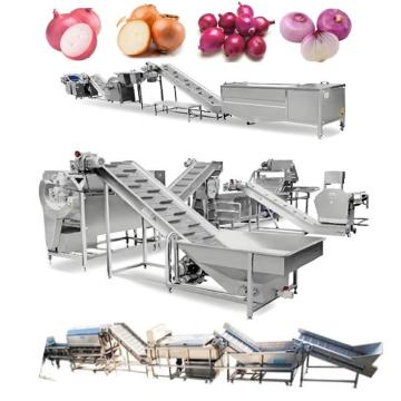 Automatic Onion Washing, Drying, and Sorting Line for Shallots and Onions
