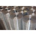 6x6 reinforcing welded wire mesh/rabbit fence