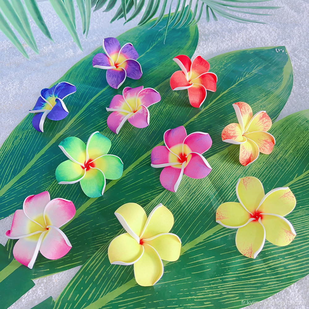 Choix de cheveux en mousse à la main Plumeria