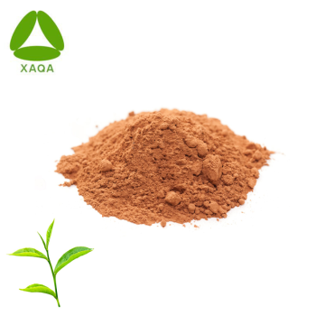 Chất chống oxy hóa hữu cơ 98% chiết xuất trà xanh polyphenols