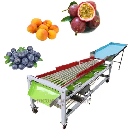 Multi-Fruit and Vegetable Sorting and Grading Machine