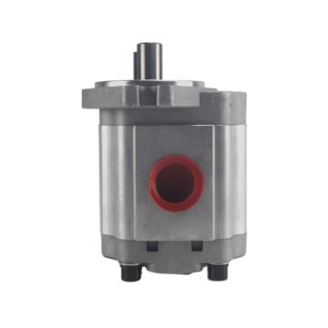 CBF-F425 Flange Hydraulic Car Parts Gear Pumps