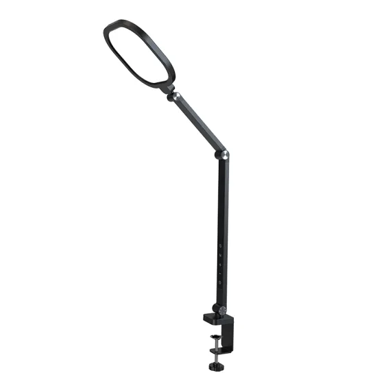 Adjustable Long Arm Desk Lamp with Clamp for Video Conferencing