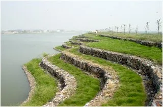 direct sale hill slope protection network