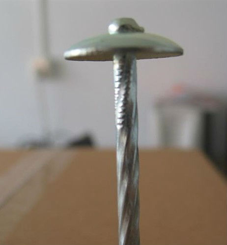 umbrella head roofing nail