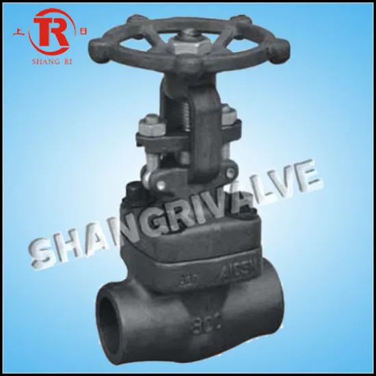 Socket Weld Forged Gate Valve (Type: Z61Y)
