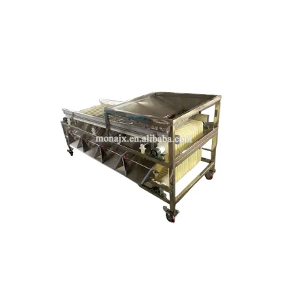 Jujube Pitting, Date Sorting, Date Palm Processing & Red Dates Grading Machine Prices