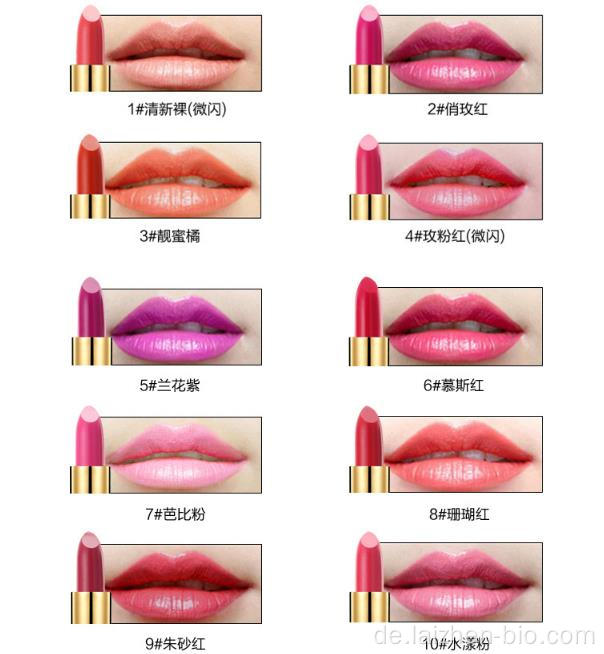 OEM Kosmetik wasserdichter langlebiger matter Lippenstift