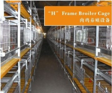 Broiler cage system for poultry farm equipment