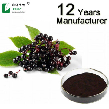 Natural Black Elderberry Herbal Extract