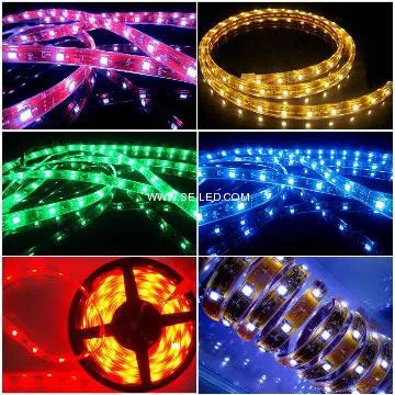 high brightness 5050SMD 60led/m DC12V magic color LED Light Strip