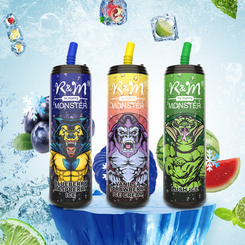 Popular R&amp;M Monster 7000 Puffs Vape Wholesale