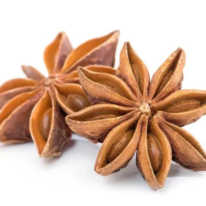Premium Quality Star Anise for Meat Cooking: Fresh, Dried Star Anise Seeds