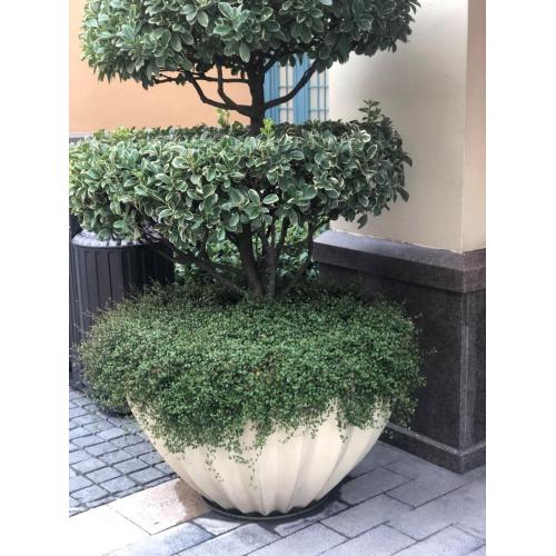 Cement Pots For Plants Big Creative White Cement Plant Pot Supplier