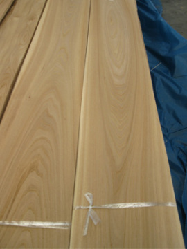 Elm Veneer