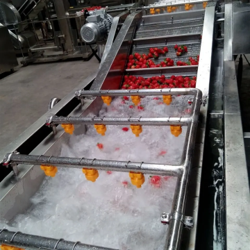 Buah perindustrian dan sayur -sayuran yang disesuaikan mencuci, pengeringan, dan garisan pembersihan gelembung untuk pengeluaran jus buah automatik
