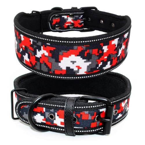 Soft Lining Padded Dog Collar