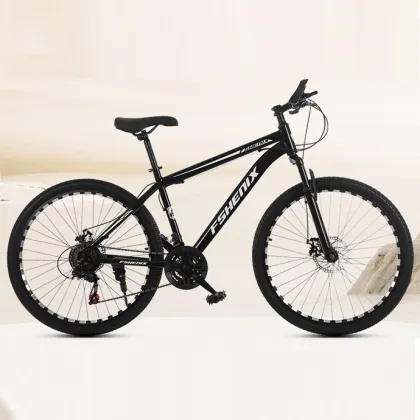 Wholesale mountain bike 21 speed off-road cycling bicycle