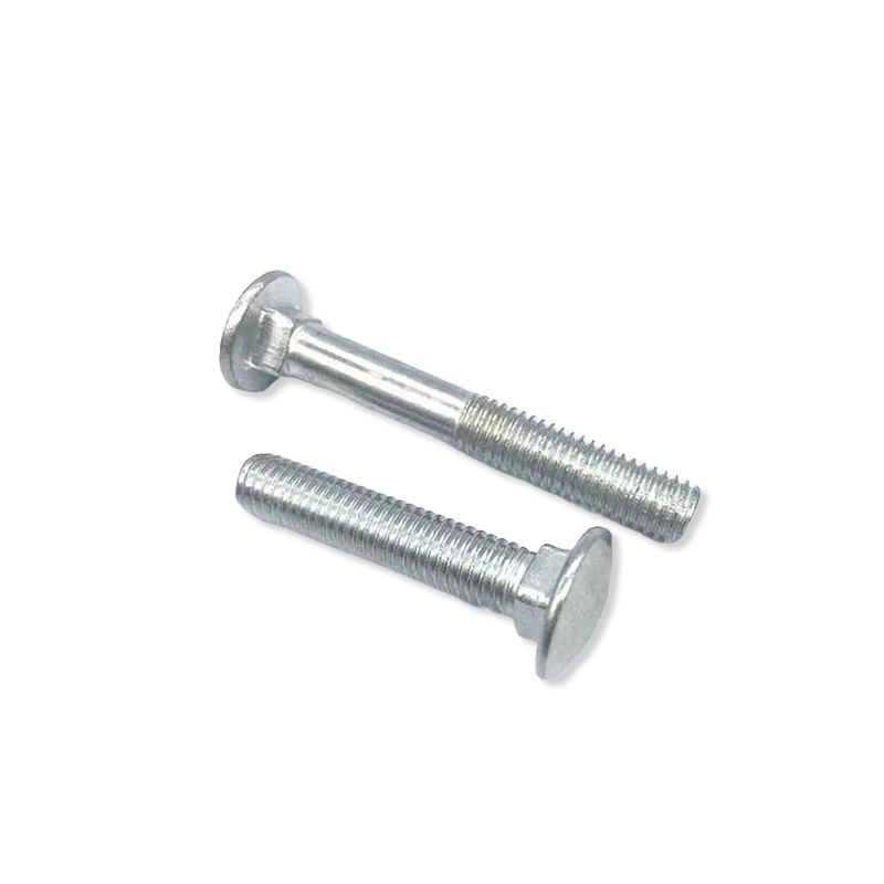 Round head bolts (10)