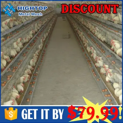 4 tiers animal husbandry equipment for Kenya