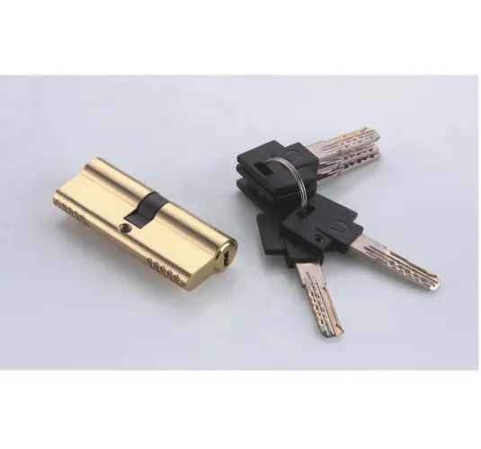 Custom Mortise Lock Cylinder