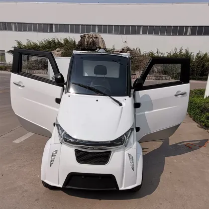 Brand New EEC Electric Logistics Car for Hot Sale