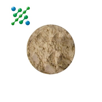 Ginseng Extract Powder with Ginsenosides
