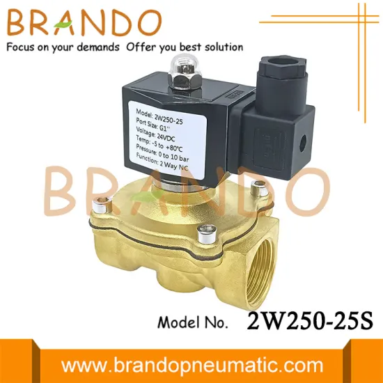 2W250-25 2-Way Solenoid Valve 1 Inch 24V 110V 220V