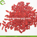 Factory Supply Natuurlijk Bulk Fruit Product Goji Bessen