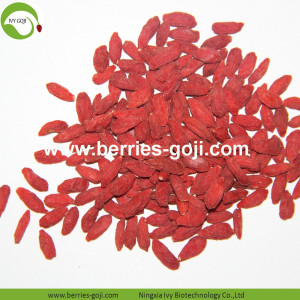 Factory Supply Natural Bulk Fruit Product Goji Berries