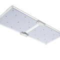 Zweiköpfiges Quantenboard für Pflanzenwachstumslampe PD-L02