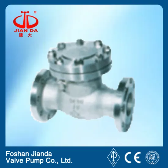 stainless steel flange swing check valve