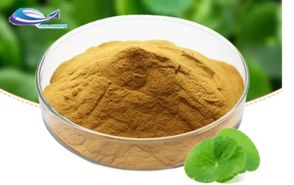 Organic Sea Kelp Powder Bulk Thyroid Support