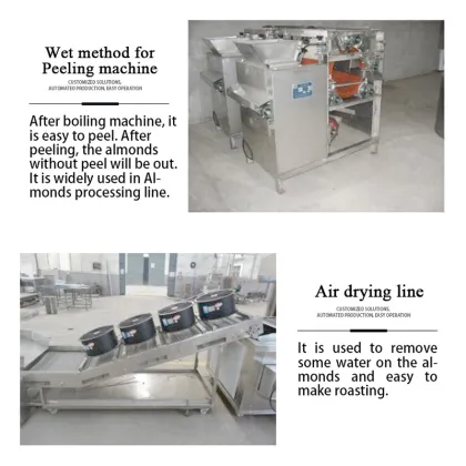 Automatic Peanuts and Nuts Processing Machine