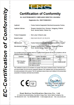 Wholesale Home Beauty Salon Infrared Light Therapy Lamp