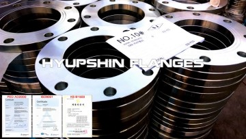 5K JIS Slip On Plate FF RF Flange