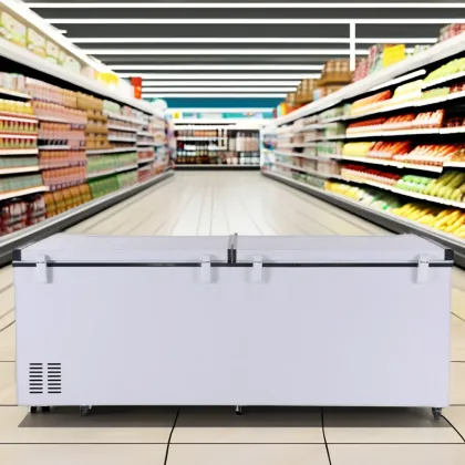 White Horizontal Small Household Freezer Deep Chest Freezer