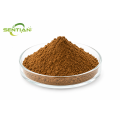 High Potency Green Coffee Extract Powder for Daily Vitality