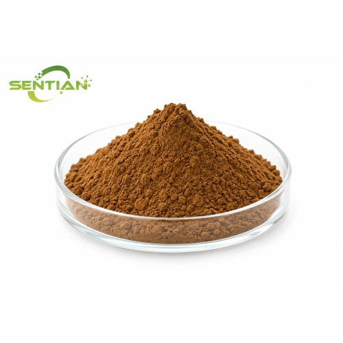 High Potency Green Coffee Extract Powder for Daily Vitality