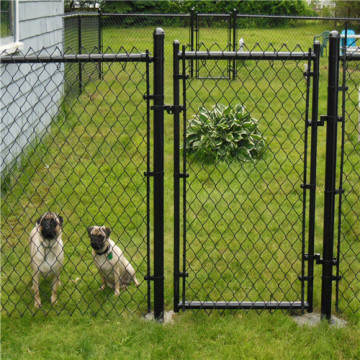 Dog Kennel Hot Dipped Galvanized Used Chain Link Fence